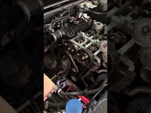 Zahnriemen im Motoröl