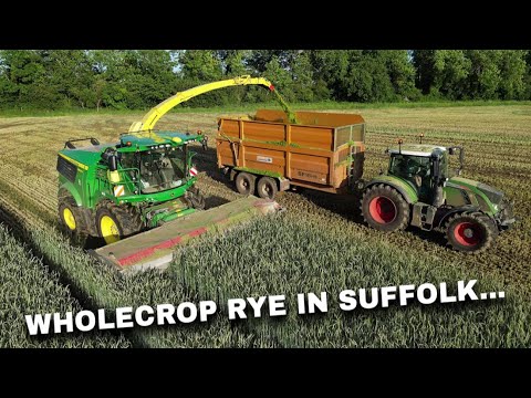 4Kᵁᴴᴰ June 2024: Whole crop rye silage harvest: John Deere 9800i, JD 6155R, Fendt 724 & RW trailers