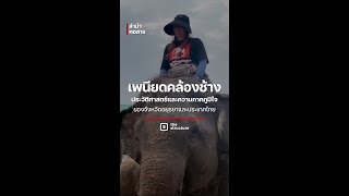 เพนียดคล้องช้าง ความภาคภูมิใจแห่งอยุธยา l The Structure ลำนำคชสาร