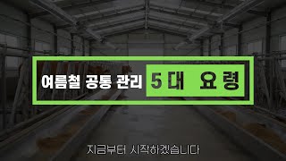 가축과 축산장비, 무더위에는 어떻게 관리할까? | 혹서기 스마트장비 관리요령