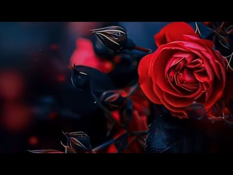 #57. Odlazak u Egipat na 'proljece'..