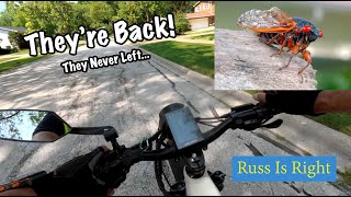 Cicadas Are Back On My Ebike Rides! Yikes!