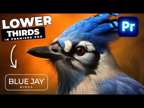 MOTION Blur TEXT ANIMATION In Premiere Pro