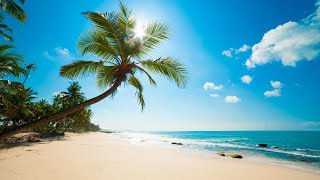 Download lagu TNT Records   Lights mp3