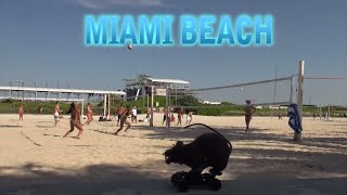 preview picture of video 'Miami Beach Spring Break Rat Prank'