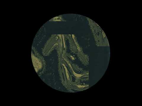 Dj Sprinkles - F The Down Low (Benone Longa)