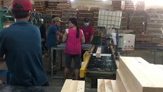 Máy lăn keo tự động