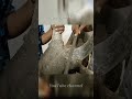 Pk Jallikattu Shorts Video
