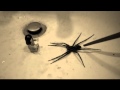 Spider And Lego Wmv