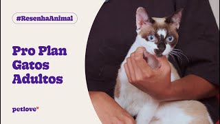 Pro Plan Gatos Adultos