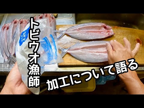 トビウオ ~種類と特徴~