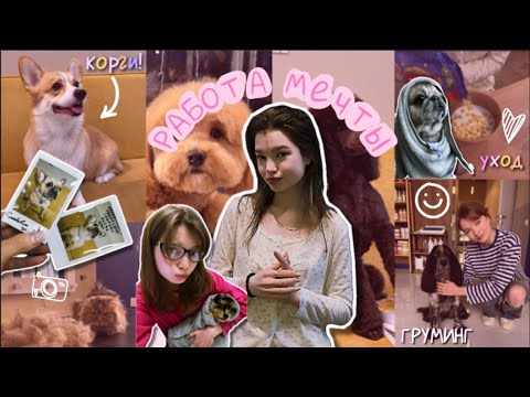 будни администратора груминг-салона🩷 | я работаю с животными!🐶