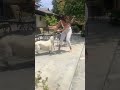 Mallika Sherawat Playing With Her Dog Lily In Los Angeles California Mallikasherawat Doglover