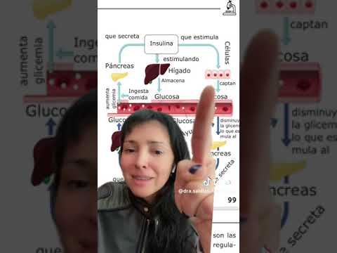 Cristina Saldias Porras-28