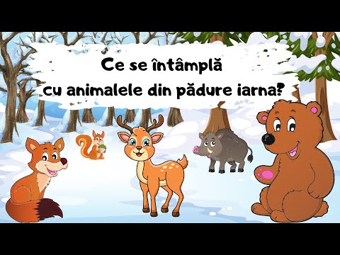 ❄Ce se întâmplă cu animalele din pădure iarna 🐿🦔🐻🐗