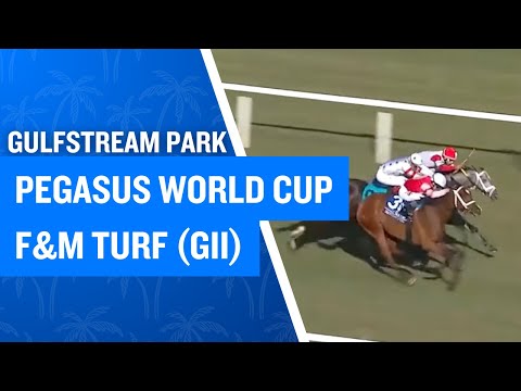 2026 $500,000 Pegasus World Cup F&M Turf Invitational (G2) at Gulfstream Park