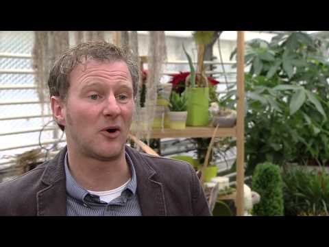 BlueGEN - Brennstoffzellen