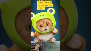 Download lagu kucing aku namanya leo suka nonton ini gays #funny #shortvideo mp3