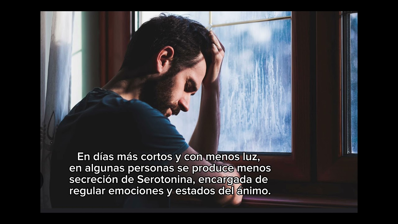 Pamela Albornoz Carrasco-10