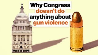 Why Congress doesn't do anything about gun violence in America | Steve Israel