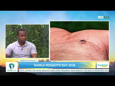 World Mosquito Day 2026: The Fight Against Malaria and Mosquito-Borne Diseases
