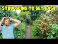 Overgrown Paths Are DANGEROUS Helping Tidy Up Bexley