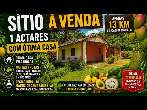 ATUALIZAÇÃO DO CANAL / SÍTIO A VENDA / NO MAITAZINHO ZONA RURAL DE MATRIZ DE CAMARAGIBE-AL / 