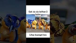 Download lagu goyang Poco xiaomi redmi dahlah #lucu #shortsindonesia mp3