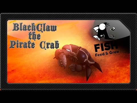 BLACKCLAW THE PIRATE CRAB - Feed and Grow Fish