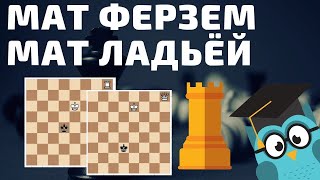 Как поймать короля ладьей и королем