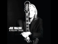 Joe Walsh Family wmv   YouTube