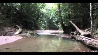 GuppyTourStop3 Take1