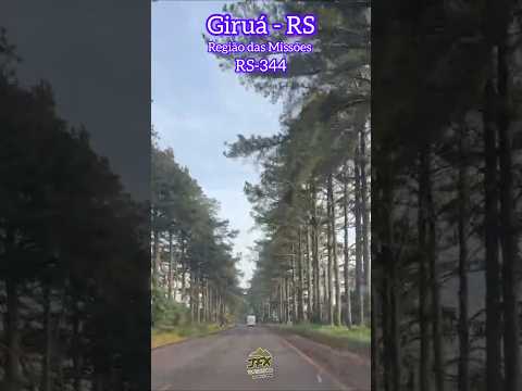 Giruá-RS RS-344 trecho dos pinheiros da rodovia #regiaodasmissoes #turismors #girua #rs-344 #shorts