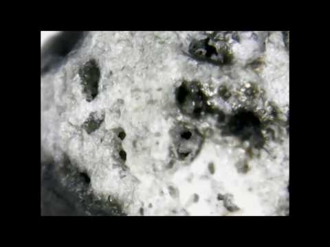 Match Head Under Microscope 40X