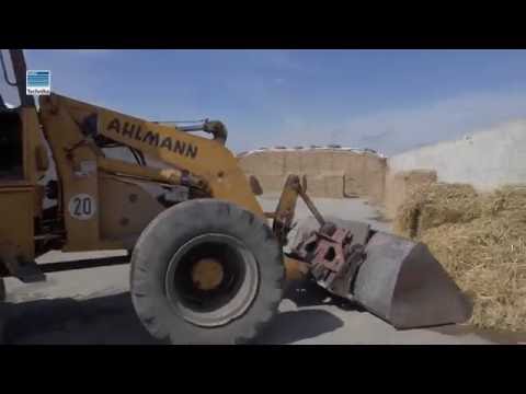 Otwarcie obory u Państwa Edyty i Karola Nowak z Zalesia Wielkiego