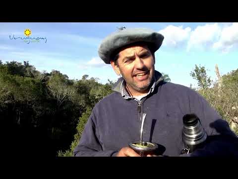 Uuruguay por dentro 09 de Marzo 2024, paraje Valdivia
