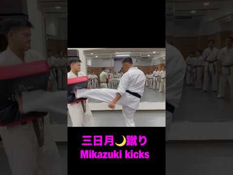 極真会‼️三日月🌙蹴りkyokushin Mikazuki kicks #karate #ミット打ち #空手