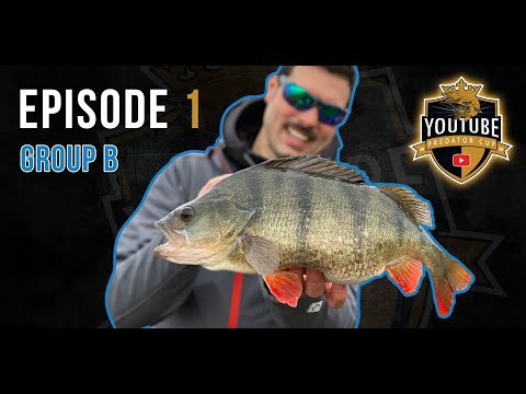 A new YPC RECORD for PERCH?  | YouTube Predator Cup 2020 - Group B Episode 1