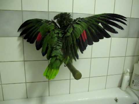 Manne having a shower