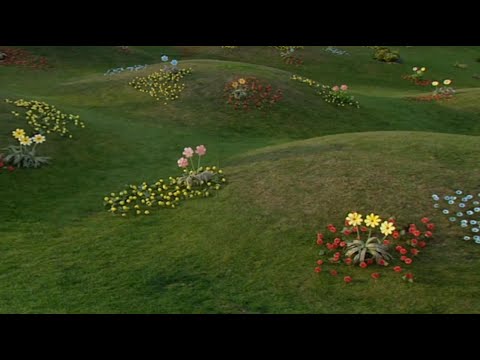 Teletubbyland Shot (Building a Barbeque) Style (3)