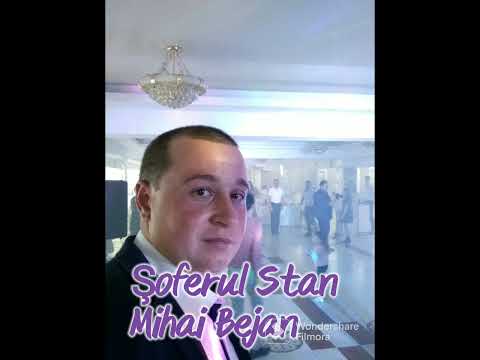 Mihai Bejan - şoferul Stan