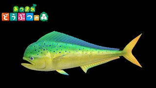 あつ森で一番難しい魚釣ります
