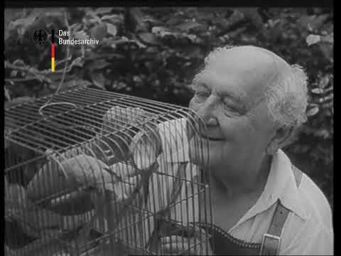 Welt im Bild 1955 – Filme des Bundesarchivs