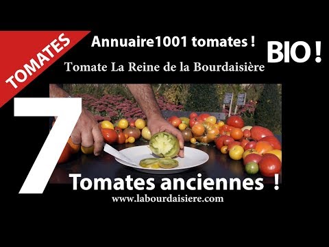 Surprise ? 7 Tomates surprenantes et insolites.Nature et Bio.Video 2.Hurryken Production