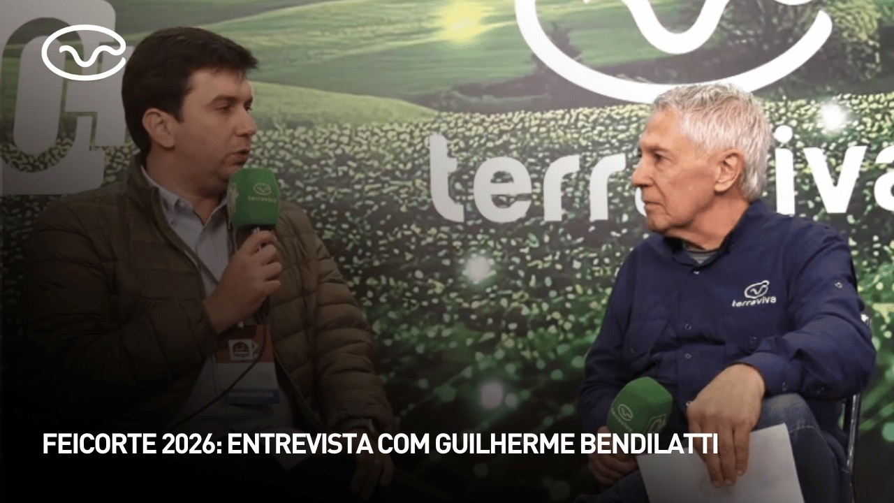 Feicorte 2026: entrevista com Guilherme Bendilatti