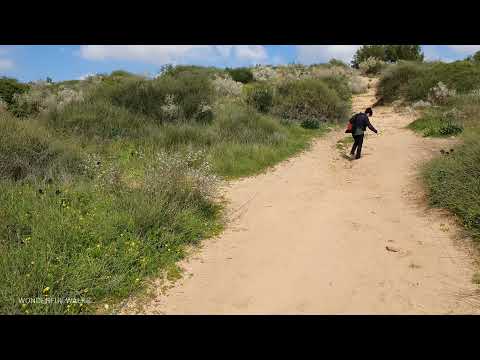 Israel Walking Tour: Relaxing walk, Ness Ziona