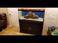 75 Gallon Aquarium Stand Aquarium Cabinets