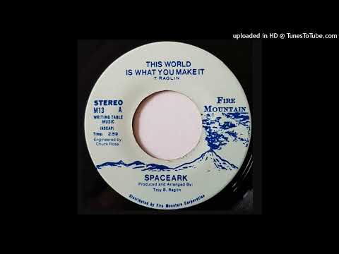Rare Modern Soul 45 Spaceark - This World Is What You Make It