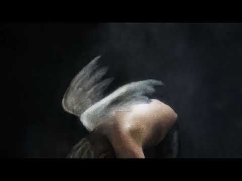 Video thumbnail for Snail Shells