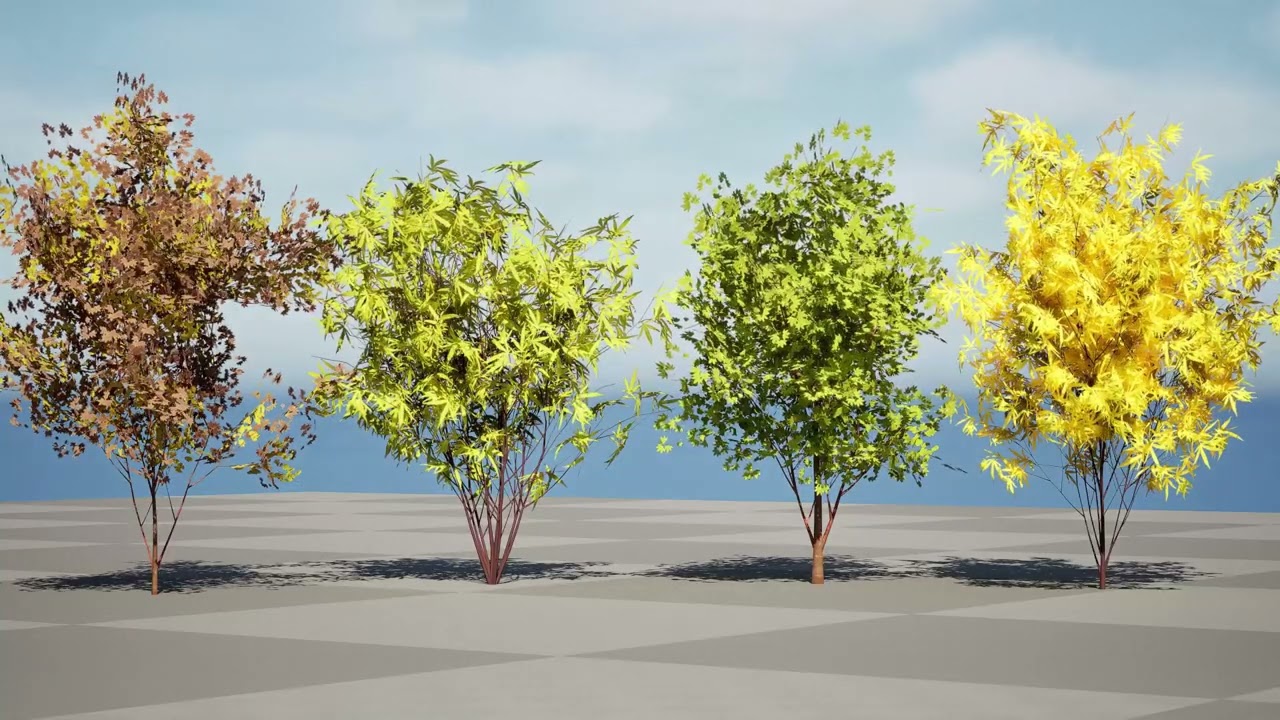 Japon Ak&ccedil;aağa&ccedil; Ağacı Modeli 3D Model